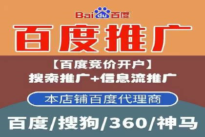 SEM运营公司成功案例解析